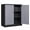 Black & Gray, variant on STANI Metal Storage Cabinet Gray Black, 2 Doors, 2 Shelves, Locabble, 35.5" x 31.5" x 15.7"