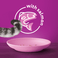 thumbnail image 2 of WHISKAS Adult Dry Cat Food Seafood Selections with Real Salmon, 4kg Bag, 2 of 7