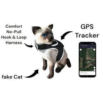Tractive XL Smart Dog GPS Tracker with Vital Signs Monitoring