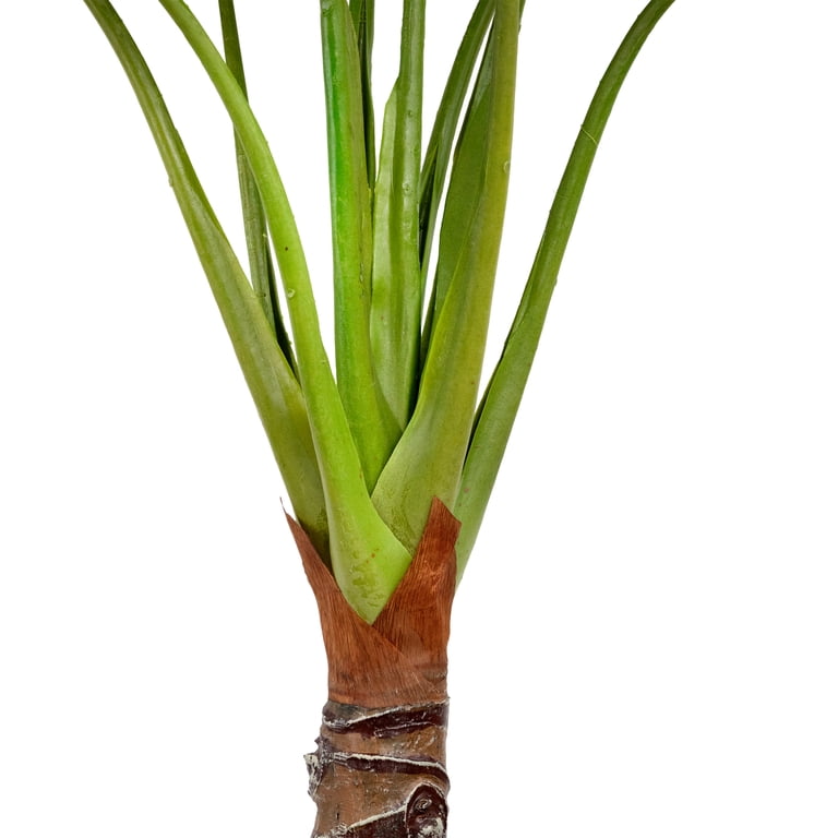 Northlight Potted Green Wide Leaf Taro Artificial Floor Plant - 51
