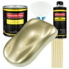 Restoration Shop - Antique Gold Metallic Acrylic Enamel Auto Paint, Complete Gallon Paint Kit, Single Stage High Gloss