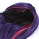 thumbnail image 5 of Women Long Straight Wig Blue Purple Highlight Color Hair Bangs Simulation False Hair Wigs for Cosplay, 5 of 5