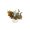 White, variant on Green Artificial Pumpkin Maple Leaf Bouquet, Realistic Fall Harvest Floral Pick, Festive Seasonal Ornament for Thanksgiving, Harvest Festival Home Indoor and Outdoor Scene Decor(8.66*3.94in)