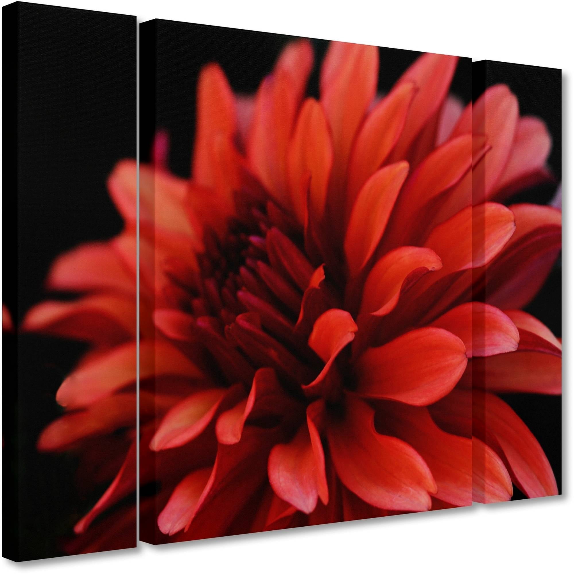 Trademark Fine Art "Red Dhalia" Canvas Art by Kurt Shaffer Three Panel Set