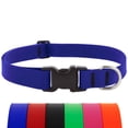 thumbnail image 1 of Collar para perro LupinePet impermeable BioThane de 2,5 cm de ancho, 1 of 6