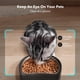 thumbnail image 2 of Comedero automático para gatos PETLIBRO con cámara 1080P HD Video, 2 of 6