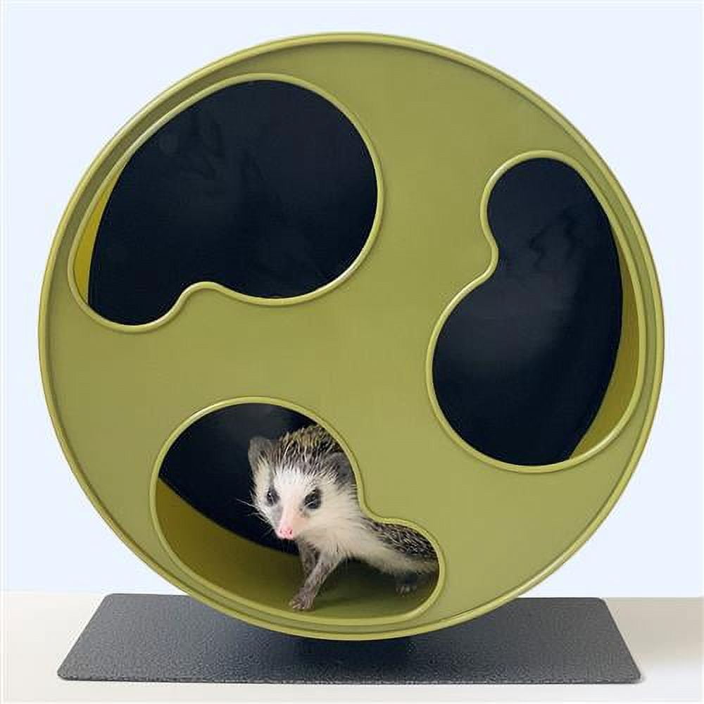Exotic Nutrition Silent Runner Wheel 12" Wide