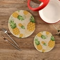 thumbnail image 2 of Pot Holders Trivets Set Cotton Potholders Set, Hot Pads Set of 2, Summer Pineapple Hot Pot Trivets One 9.45 Inch and One 7 Inch, 2 of 7