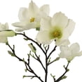 thumbnail image 3 of 40" Magnolia Oversized Stem by Ashland  - Spring Floral for Crafting and Home Decor, 3 of 3