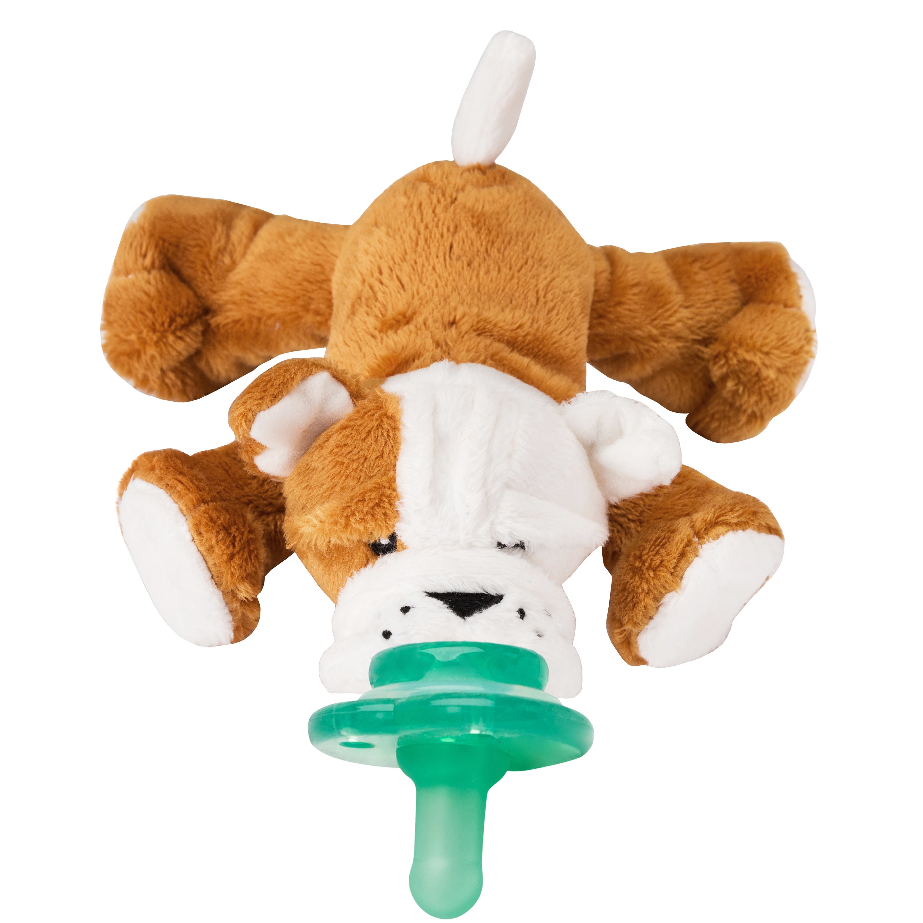 pacifier paci