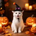 thumbnail image 5 of Cat Wizard Hat Pet Halloween - Adjustable Sorcerer Hat for Cats Small Dogs Cosplay(Black-7,13.5cm), 5 of 6