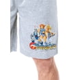 thumbnail image 2 of ThunderCats 1985 Mens' Classic TV Show Characters Sleep Pajama Shorts, 2 of 5