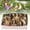 Khaki, variant on Desktop Ornament,Artificial Bird Ornaments Realistic Color & Natural Style Garden Christmas Decor Tiny Birds For Home Festive Plant Accents And Holiday Craft Displays
