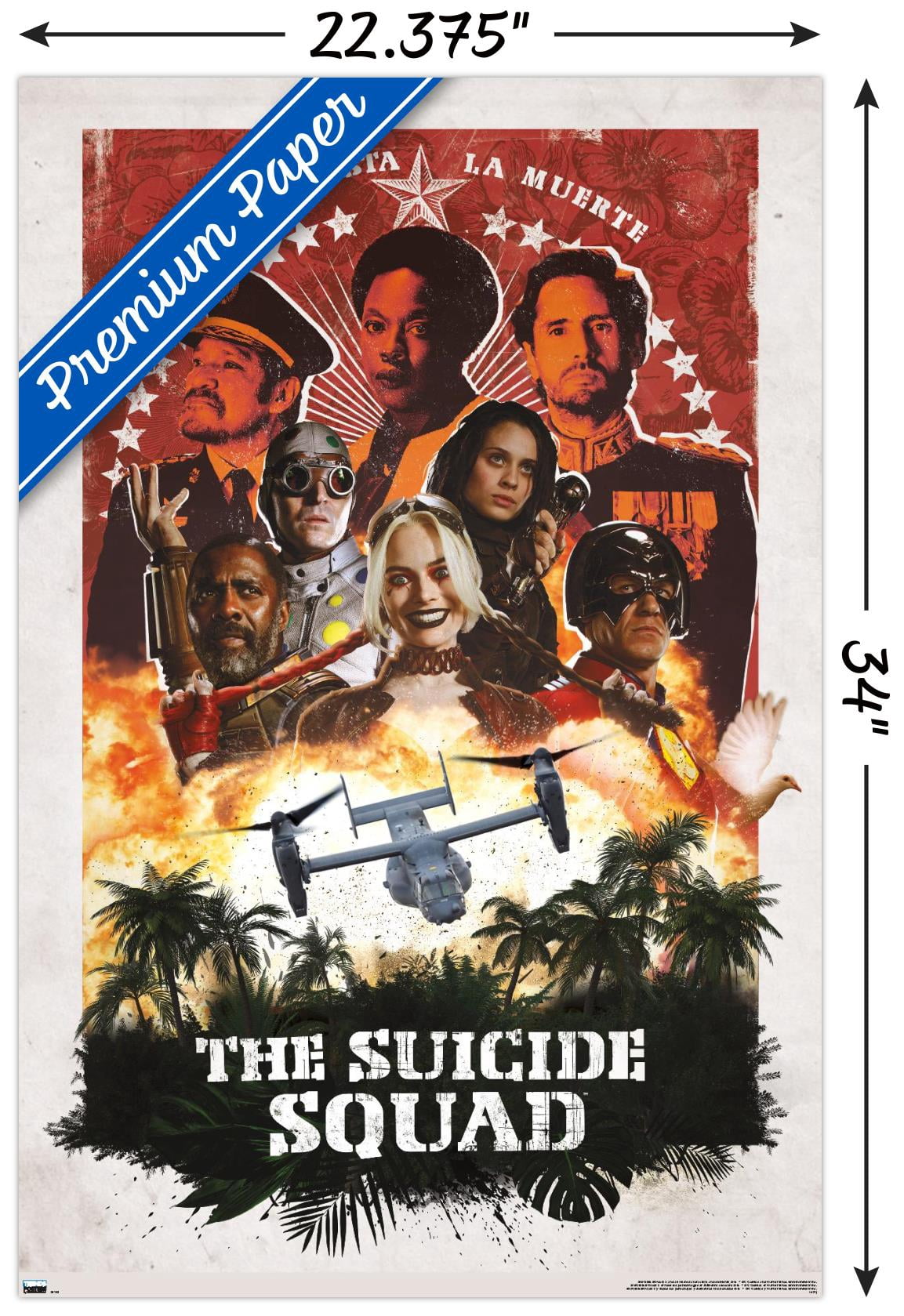 DC Comics Movie The Suicide Squad - Plane Group Wall Poster, 22.375" x 34"