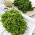 thumbnail image 4 of Musgo verde artificial de 30/100 g para manualidades, plantas de interior, jardines de hadas, centros de mesa, peceras, micropaisajes, musgo artificial decorativo., 4 of 8