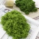 thumbnail image 4 of Musgo verde artificial de 30/100 g para manualidades, plantas de interior, jardines de hadas, centros de mesa, peceras, micropaisajes, musgo artificial decorativo., 4 of 8