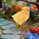thumbnail image 5 of Estatua de pollito de jardín, escultura de resina, decoración del hogar, adorno de césped, figura en miniatura Estilo C, 5 of 8