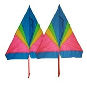 Rainbow delta kite (2 sets) 46 inch x 28 inch with long tails with flying line and handle