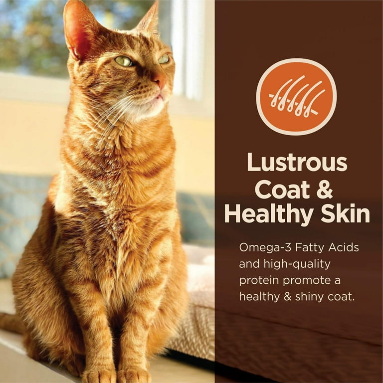 Wet cat food top high in omega 3