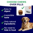 thumbnail image 3 of Melatonin for Dogs to Sleep 6mg - Doggie Sleep Aid Treats - Sleeping Pills for Anxiety - Extra Strength Calming Chews Large & Medium Breed Help Sleep at Night - Made in USA - 120Ct, 3 of 8