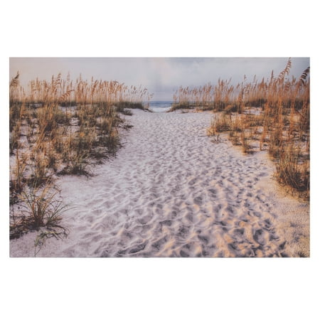 Photographic Canvas Art - Patton Wall Decor Path To The Beach Photography Canvas Art
