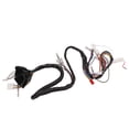 thumbnail image 4 of Arnés de cableado eléctrico completo Bling Bling Reemplazo para CT100 todos los años, 4 of 12