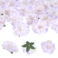 thumbnail image 1 of Uxcell 30-Pack Cabezas de Peonías Artificiales, Cabeza de Peonía de Seda Falsa de 2.4 Pulgadas para Boda/Ramo/Pared de Flores[Blanco Púrpura, 6cm], 1 of 7