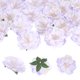 thumbnail image 1 of Uxcell 16-Pack Cabezas de Peonías Artificiales, Cabeza de Peonía de Seda de 2.4 Pulgadas para Boda/Ramo/Pared Floral[Blanco Púrpura, 6cm], 1 of 7