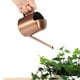 thumbnail image 2 of Eatbuy Regadera - Regadera pequeña de Acero Inoxidable de 300 ml, Maceta de riego con Pico Largo para Plantas y Flores para Uso doméstico, 2 of 9