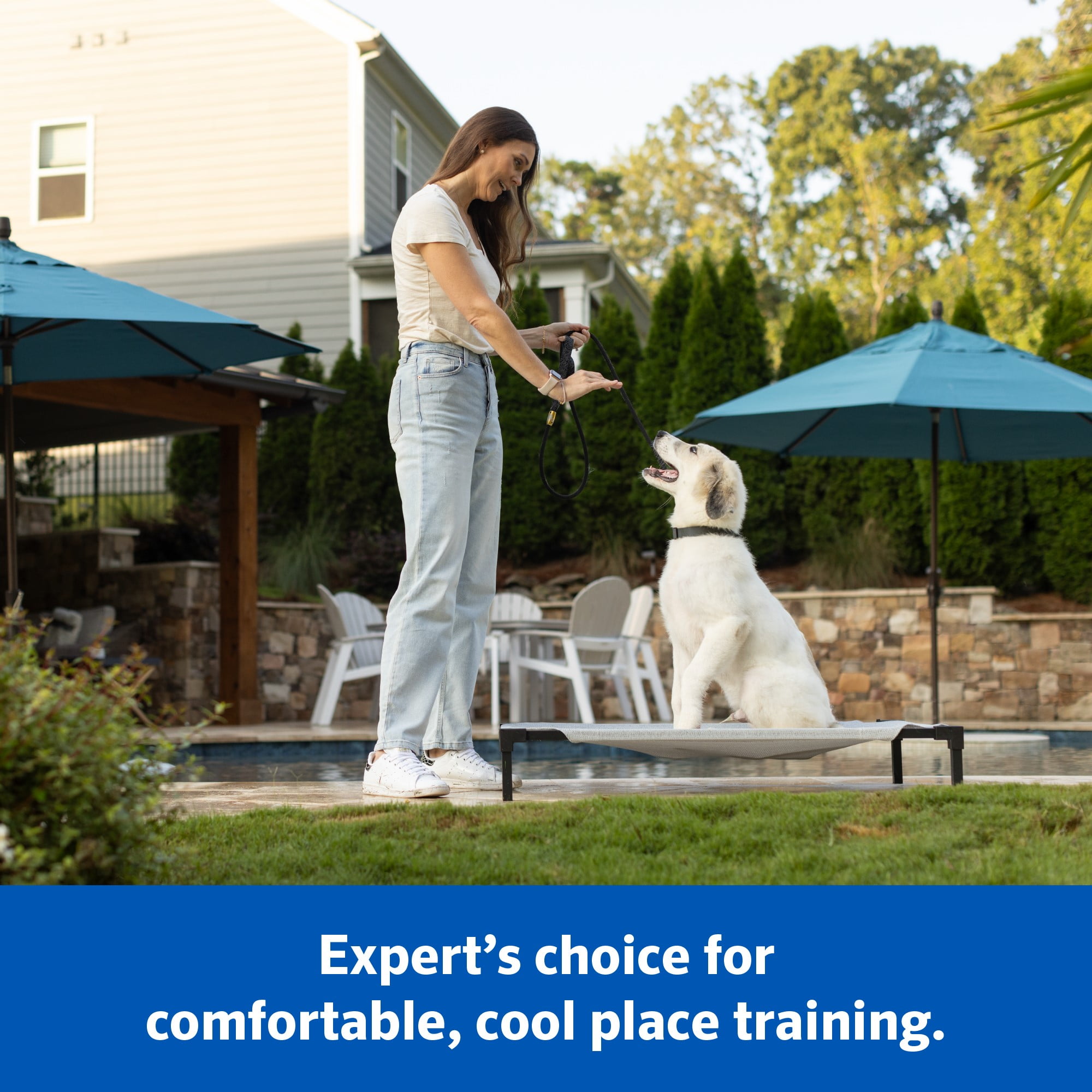 Coolaroo Cooling Elevated Dog Bed PRO with Heatshield, Fits in 48in Crate, Easy Assembly, Glacier Grey