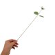 thumbnail image 5 of BALAHAPY 20Ud Flores Artificiales Margaritas Para Arreglos Y Sin Mantenimiento, 5 of 6