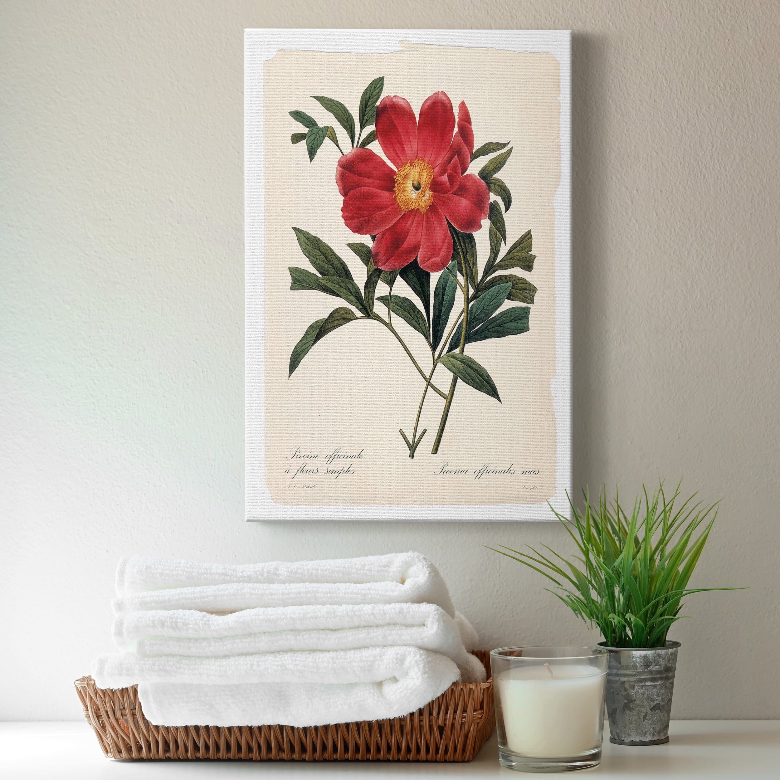 Red Botanical IV Premium Gallery Wrapped Canvas - Ready to Hang - 12 x 18
