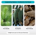 thumbnail image 4 of Luxury car air freshener - aesthetic car accessories - dusk (pine & eucalyptus) - compliant with and 65 standards - free of phthalates and benzene - advanced new car gift, 4 of 5