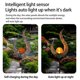 thumbnail image 3 of 2 Packs Solar Energy Flame Lamps Visual Shadow Intelligent Light Sensor Outdoor Waterproof Lawn Light, 3 of 5