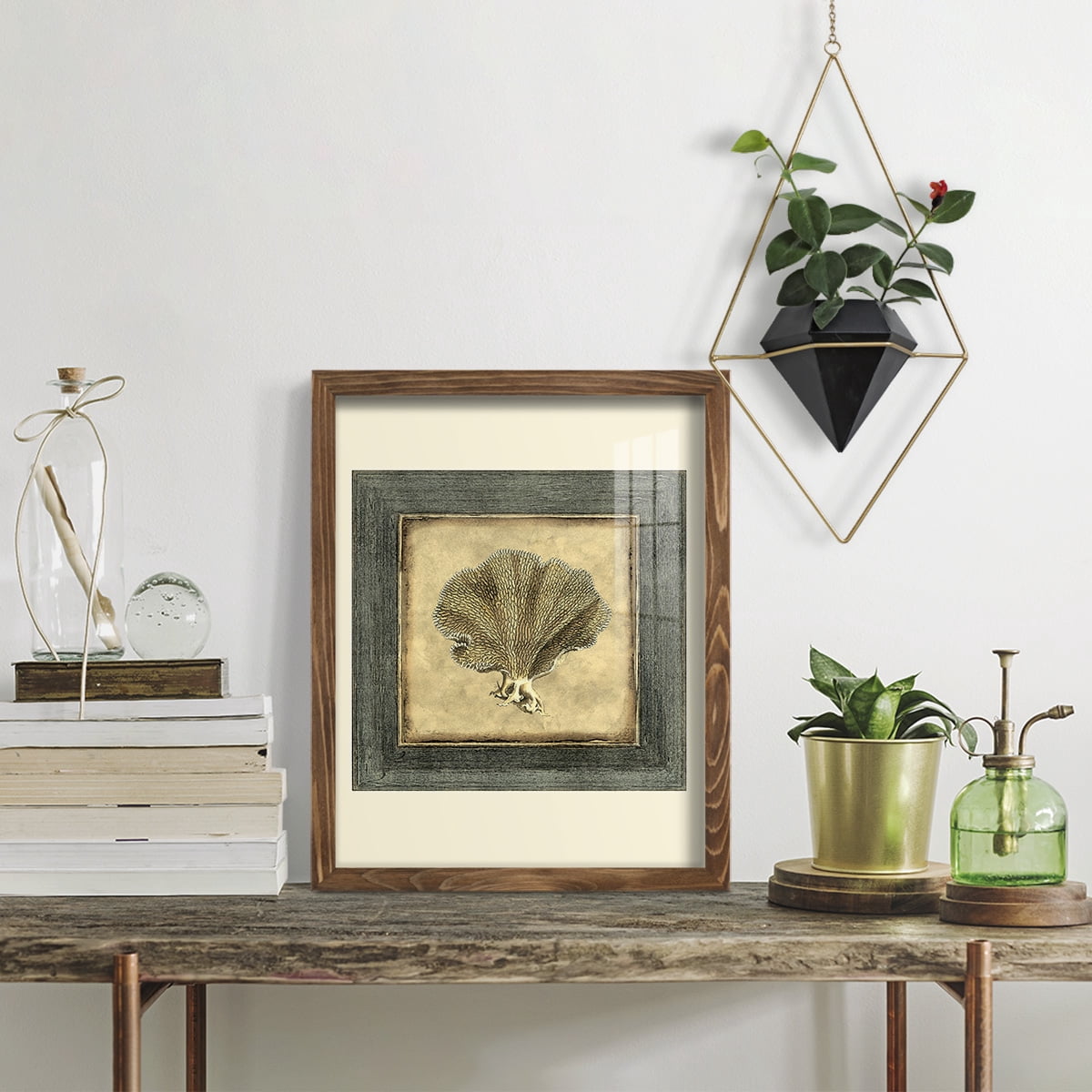 Mini Exotic Coral VI (U) - Framed Print w/glass - Walnut