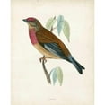 thumbnail image 3 of Morris 12x14 Black Modern Framed Museum Art Print Titled - Morris Linnet, 3 of 5