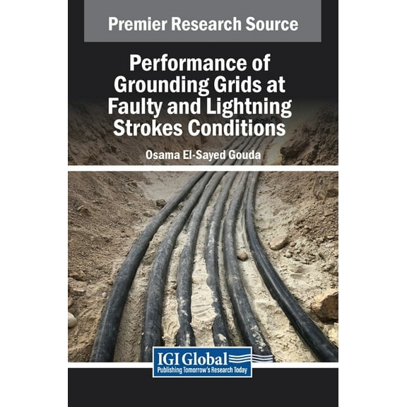 Performance of Grounding Grids at Faulty and Lightning Strokes Conditions, (Hardcover)