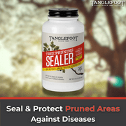 Tanglefoot Tree Pruning Sealer, 8oz Brushcap – Brush-On Tree Wound Sealer for Pruning, Trimming & Grafting – Weather-Resistant Sealant for Outdoor Tree Care