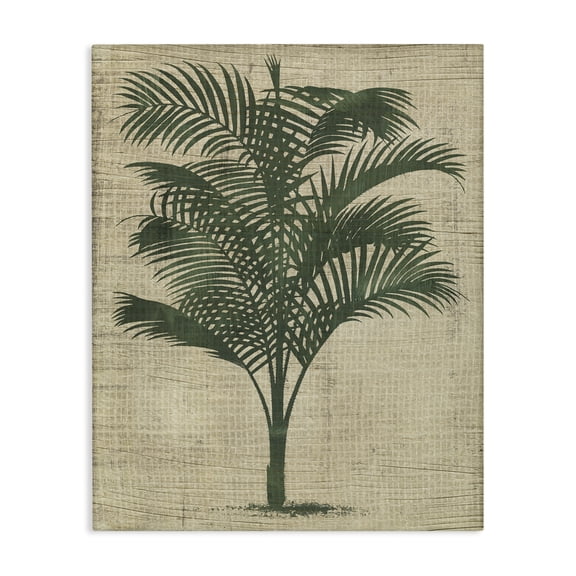 Stupell Industries Vintage Palm Plant Plants & Flowers Painting Wrapped Canvas Art Print Wall Art, 16 x 20