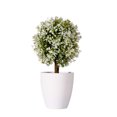 thumbnail image 1 of Planta artificial en maceta Plantas artificiales Bonsai Árbol de simulación Flores falsas decorativas de escritorio sidaley JJ25587-01B, 1 of 6