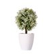 thumbnail image 1 of Planta artificial en maceta Plantas artificiales Bonsai Árbol de simulación Flores falsas decorativas de escritorio kenally JJ25587-01B, 1 of 6