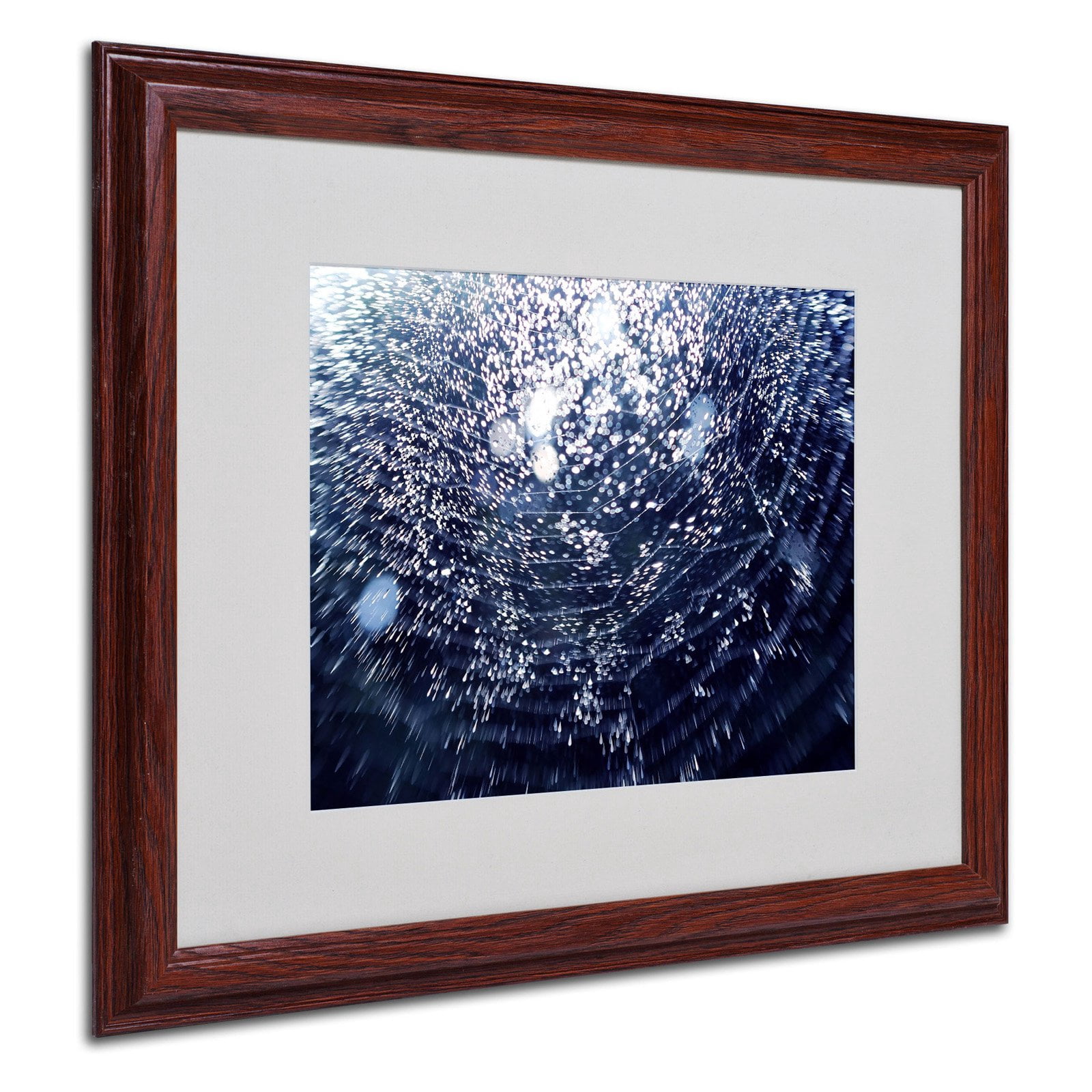 Trademark Fine Art "50 Shapes" Framed Canvas Art by Beata Czyzowska Young