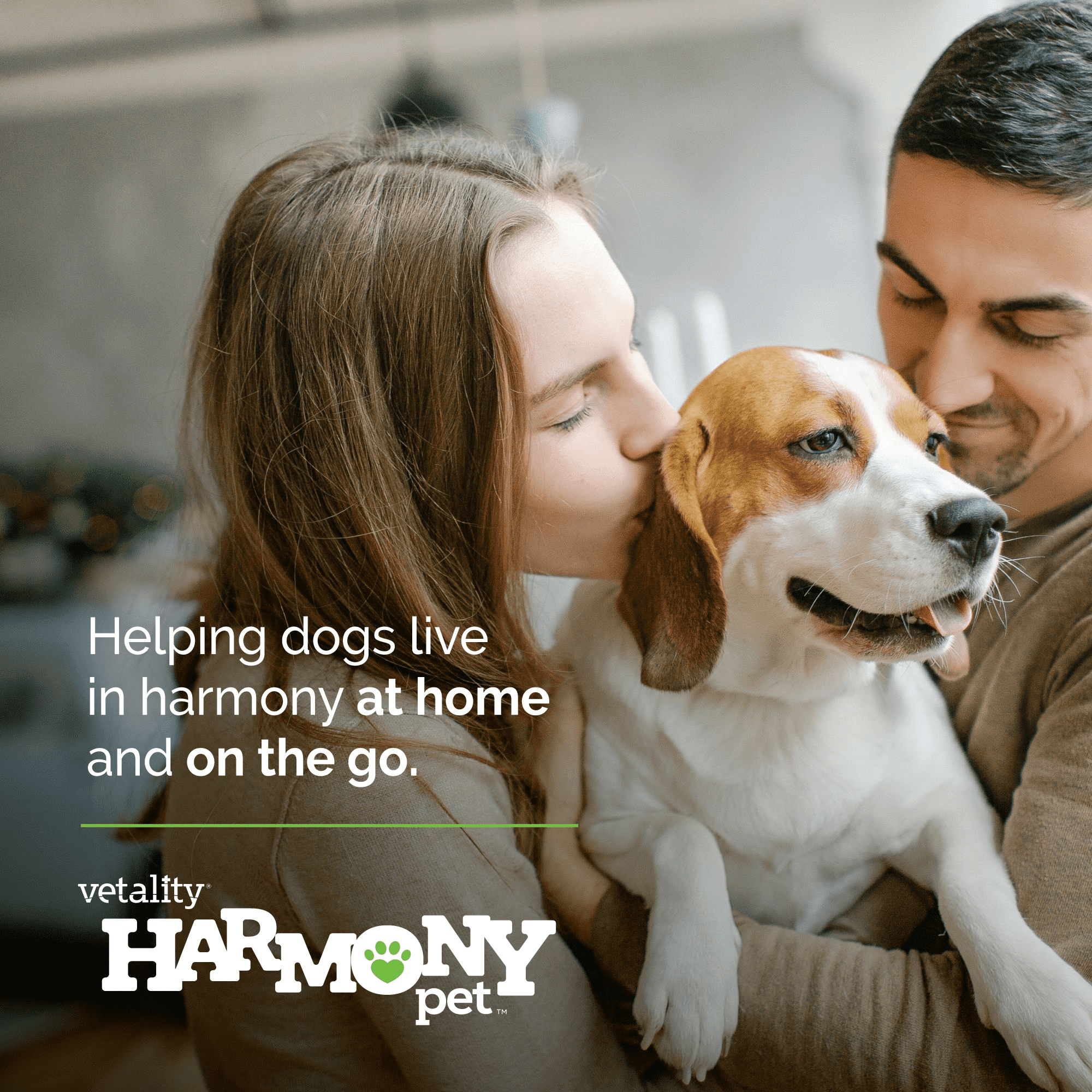 Vetality Harmony Pet Calming Home Diffuser Refills for Dogs 2ct