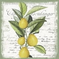 thumbnail image 3 of Sophie 6 15x15 Black Modern Framed Museum Art Print Titled - Citron III, 3 of 5