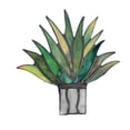 thumbnail image 3 of Decorativo Macetón de Acrílico con Suculenta Mini Áloe para Jardín y Hogar, Estilo 4, 3 of 7