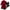 Red, variant on Levmjia Women's Short Sleeve Pajama Sets Nightshirts 4-Piece Women Sexy Garter Lingerie Set Robes Lace Bodysuit Deep-V Neck Underwear