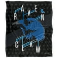thumbnail image 2 of Harry Potter Blanket, 50"x60" Harry Potter Neo Industries Ravenclaw Silky Touch Super Soft Throw Blanket, 2 of 6