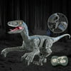 WFJCJPAF 2.4G Remote Control Dinosaur Walking & Roaring Realistic Dinosaur Toys For Kids