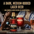thumbnail image 5 of Modelo Negra Amber Lager Mexican Import Beer, 12 pack 12 fl. oz. Bottles, 5.4% ABV, 5 of 9