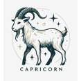 thumbnail image 5 of Capricorn Zodiac Sign Adult White Long Sleeve Hoodie-XXL, 5 of 6